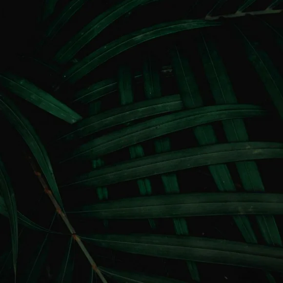 READ MORE - Picture 1 of 1